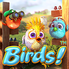 Birds